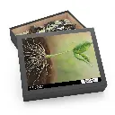 Context 1, 14_ × 11_ (252 pcs) (4).webp