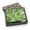 Context 1, 14_ × 11_ (252 pcs) (1).webp